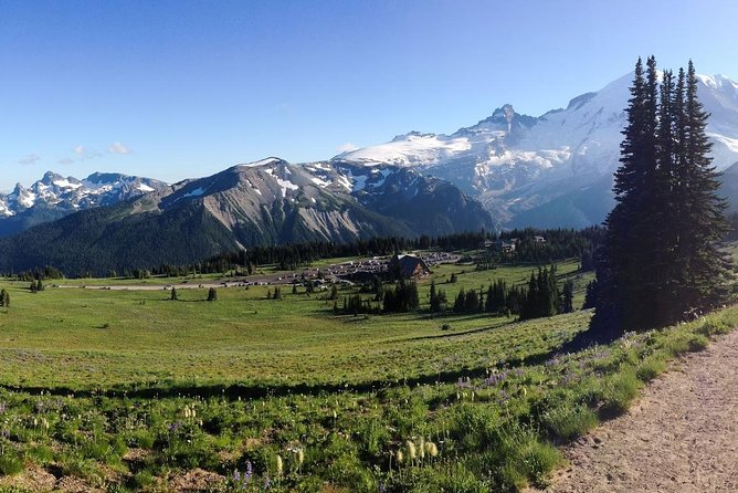 Best of Mount Rainier National Park from Seattle: All-Inclusive Small-Group Tour - Reflection Lakes and the search for the summit