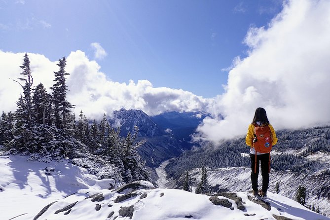 Best of Mount Rainier National Park from Seattle: All-Inclusive Small-Group Tour - What is included for $344