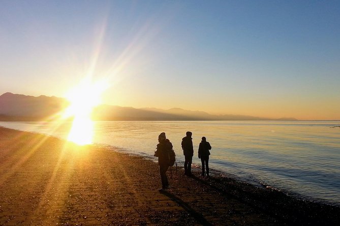 Best of Olympic National Park from Seattle: All-Inclusive Small-Group Day Tour - Seattle to Bainbridge Island by ferry