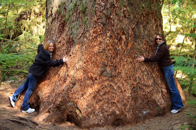 Best of Olympic National Park from Seattle: All-Inclusive Small-Group Day Tour - Elwha Valley and the return of a river