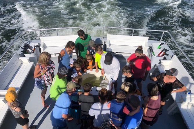 Big Fun Dolphin Cruise & Sealife Experiece ORANGE BEACH ALABAMA - Searching for Dolphins Around Orange Beach