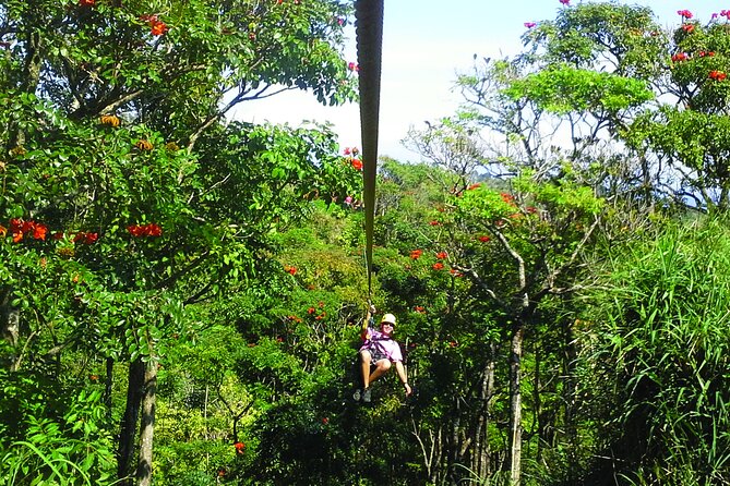 Big Island: 8-Zipline & Suspension Bridge Waterfall Adventure - Starting at Botanical World Adventures in Hakalau