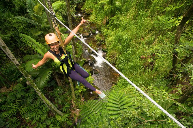 Big Island: 8-Zipline & Suspension Bridge Waterfall Adventure - The final two lines and the view of Kamaee Falls