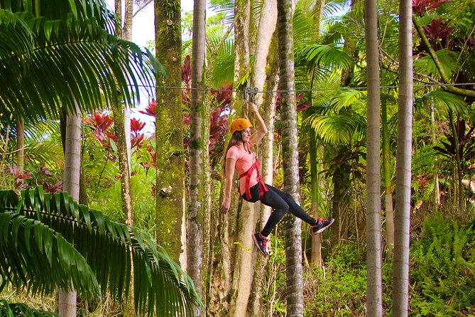Big Island: 8-Zipline & Suspension Bridge Waterfall Adventure - The rainforest setting is part of the attraction