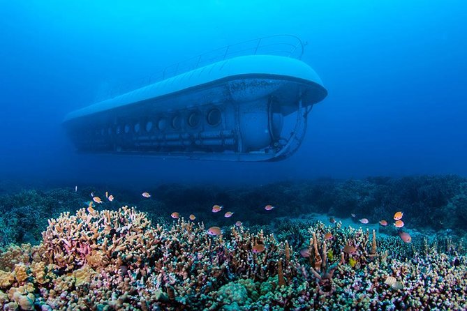 Big Island: Atlantis Submarine from Kona Beach - Starting at Courtyard Kona Beach Hotel