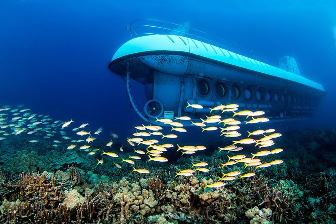Big Island: Atlantis Submarine from Kona Beach - Inside the 48-passenger submarine