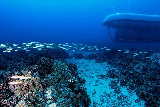 Big Island: Atlantis Submarine from Kona Beach - Why the narration matters