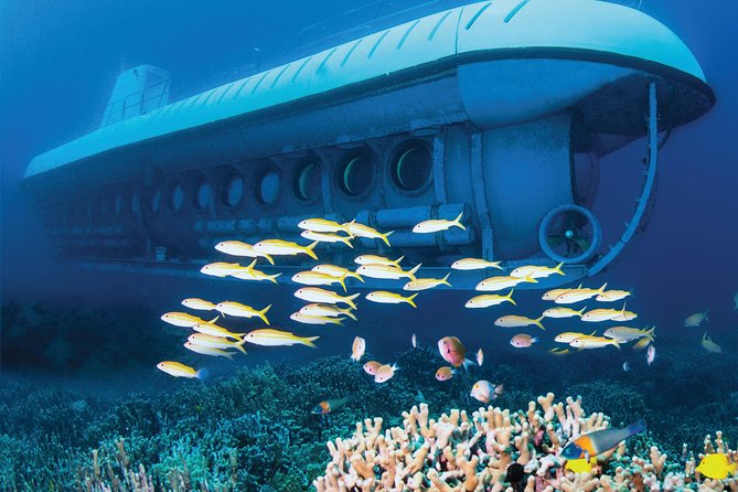 Big Island: Atlantis Submarine from Kona Beach - Is this good for children and older adults?