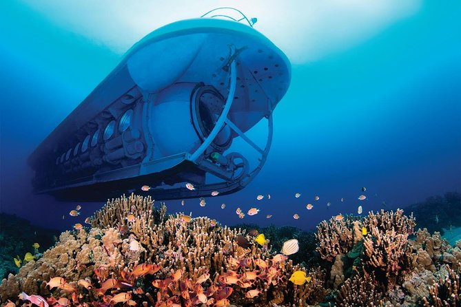 Big Island: Atlantis Submarine from Kona Beach - What the $160.41 price buys you