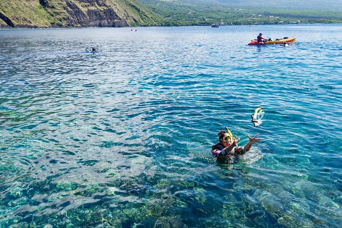 Big Island: Captain Cook Snorkel On A Power Catamaran With Lunch - Why Kealakekua Bay Is Worth the Boat Ride