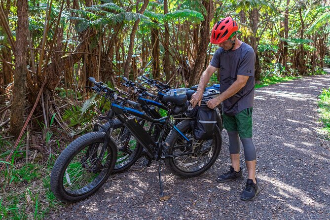 Big Island: Fat Tire E-Bike Tour through Volcanoes National Park - Through the forest to the first sights
