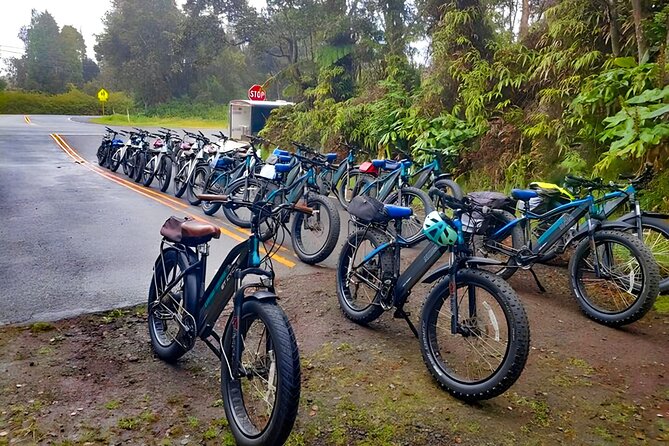 Big Island: Fat Tire E-Bike Tour through Volcanoes National Park - What the $199 price really buys