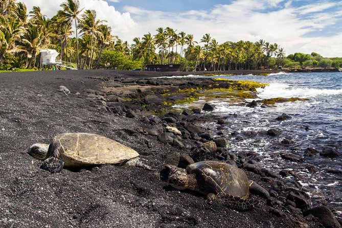 Big Island Highlights: Coffee, Volcano, Black Sands & Waterfall - The Big Island in one day