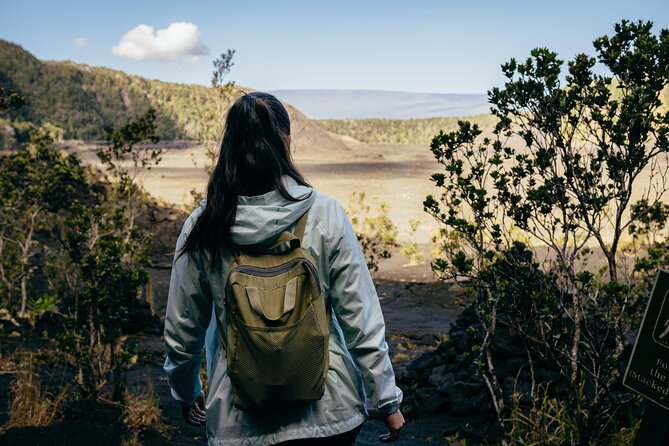 Big Island Highlights: Coffee, Volcano, Black Sands & Waterfall - Kona coffee at Greenwell Farms