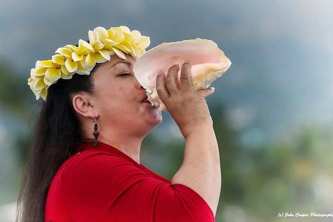 Big Island Historical Dinner Cruise to Kealakekua Bay - The First Half: Appetizers, a Cocktail, and Kona Coast History