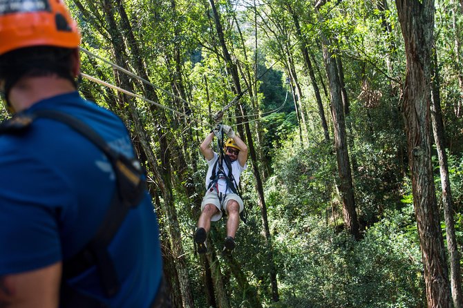 Big Island Kohala Canopy Zipline Adventure - Entering the Kohala Forest Near Hawi