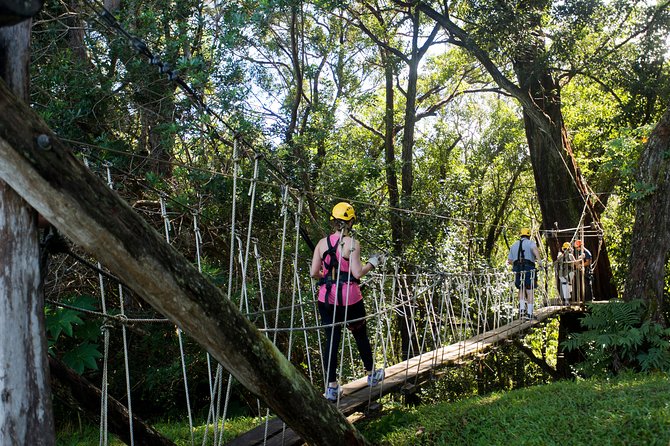 Big Island Kohala Canopy Zipline Adventure - What the Three-Hour Schedule Really Means