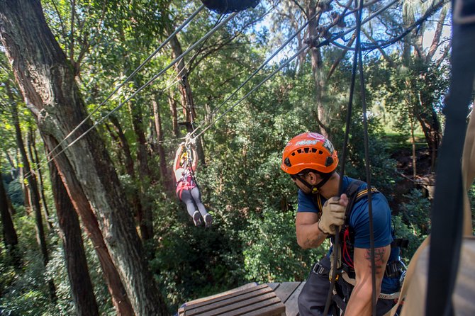 Big Island Kohala Canopy Zipline Adventure - Is $256.54 a Fair Price?