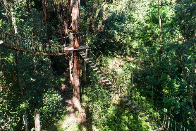 Big Island Kohala Canopy Zipline Adventure - Planning Your Northern Kohala Day