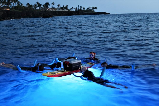 Big Island: Kona Manta Ray Snorkel Tour in Keauhou Harbor - Is the $25 Price a Good Deal?