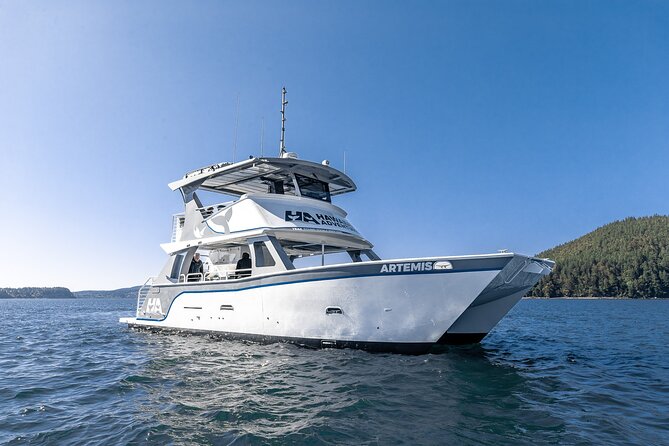 Big Island: Pelagic Whale Watch Tour - Why Kona is a smart place for a whale watch