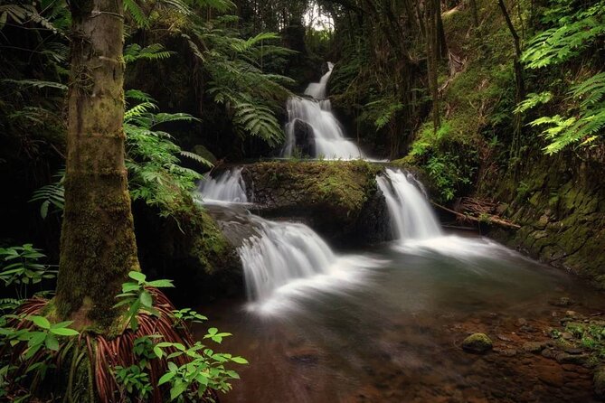 Big Island Waterfalls Tour with Swimming and Botanical Garden - The private waterfall swim at Kulaniapia Falls