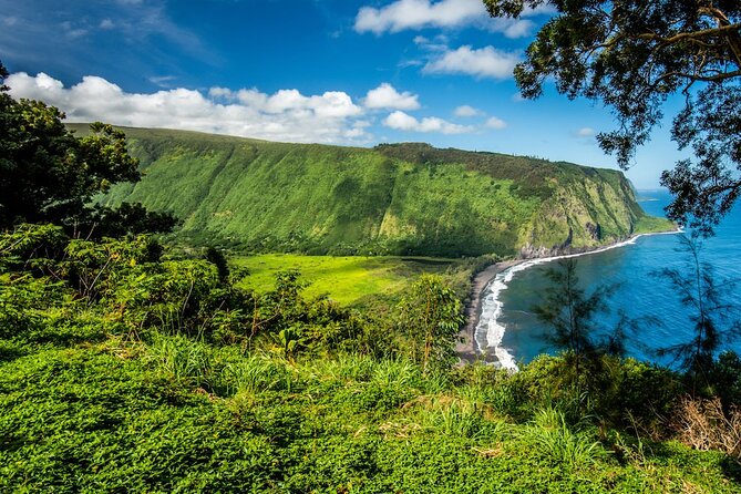 Big Island Waterfalls Tour with Swimming and Botanical Garden - Guides, van comfort, and the small-group advantage