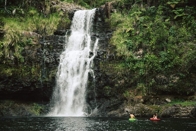 Big Island Waterfalls Tour with Swimming and Botanical Garden - A malasada stop at Tex Drive-In
