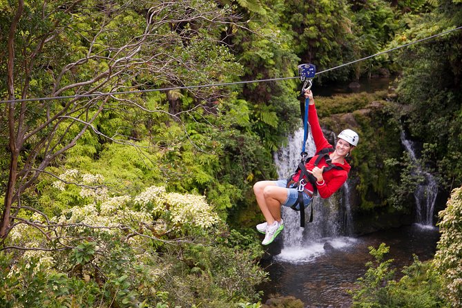 Big Island Zipline Tour Near Akaka Falls (250-ft Waterfall!) - The middle of the course: more height, speed, and scenery