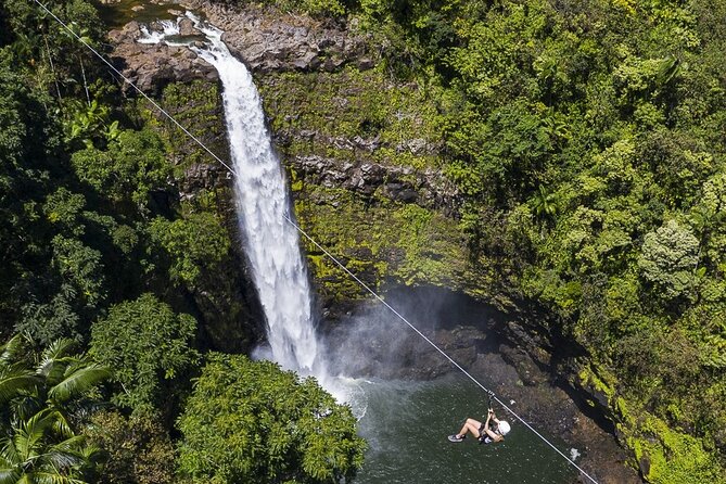 Big Island Zipline Tour Near Akaka Falls (250-ft Waterfall!) - What $246 buys you