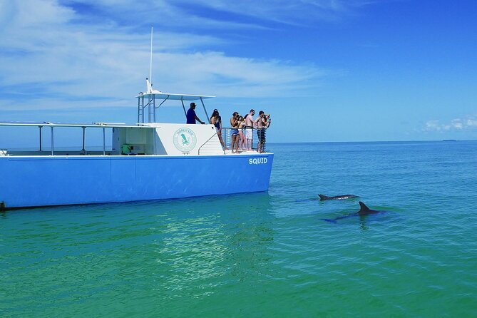 Biologist Owned & Operated: Dolphin Watching & Guided Snorkeling - Choosing the snorkeling spot on the day