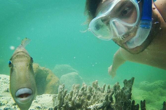 Biologist Owned & Operated: Dolphin Watching & Guided Snorkeling - Snacks, water, and the eco-minded details