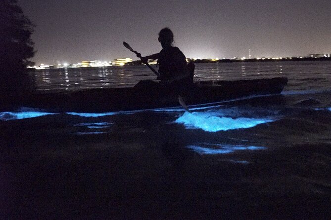 Bioluminescence Kayak Tour - Setting out from Kiwanis Island Park