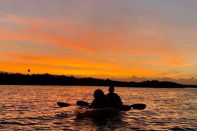Bioluminescence Kayak Tour - How summer dinoflagellates create glowing water