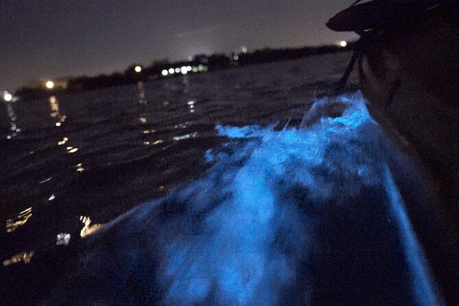 Bioluminescence Kayak Tour - What guides add to the evening