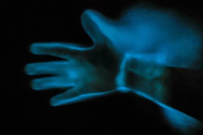 Bioluminescence Kayak Tour - Is the two-hour outing good value?