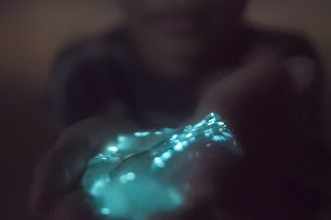 Bioluminescence Kayak Tour - Who should book this Cocoa Beach kayak tour?