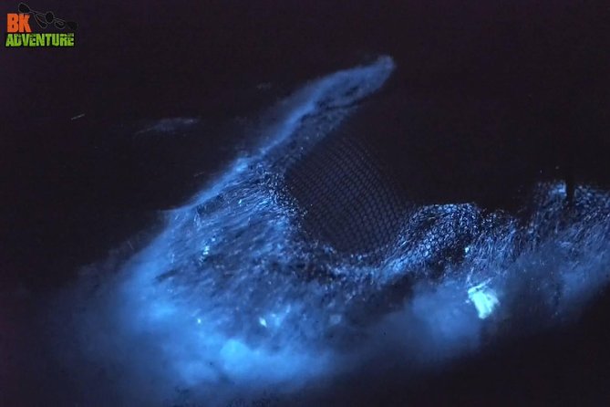 Bioluminescence Night Kayaking Tour of Merritt Island Wildlife Refuge - Why this night paddle is different