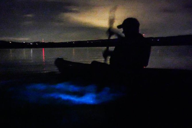 Bioluminescence Night Kayaking Tour of Merritt Island Wildlife Refuge - Is $75 a fair price?