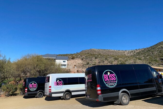 Bliss - Sedona’s Most Luxurious Wine Tour - Lunch Included! - Cove Mesa Vineyard and the included lunch