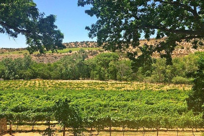 Bliss - Sedona’s Most Luxurious Wine Tour - Lunch Included! - D.A. Ranch, the scenic centerpiece