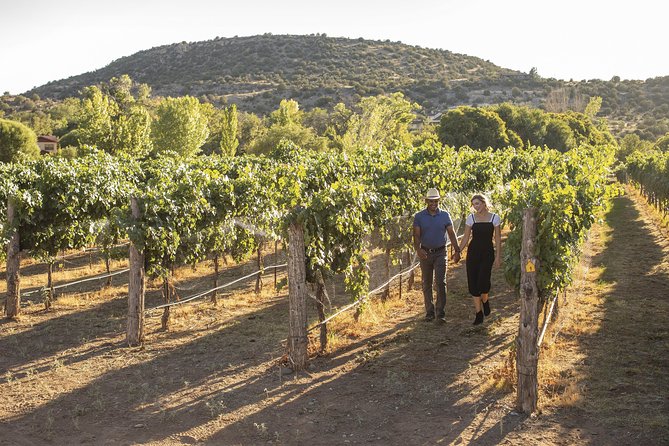 Bliss - Sedona’s Most Luxurious Wine Tour - Lunch Included! - Alcantara Vineyards, a polished first stop
