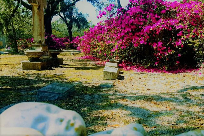Bonaventure Cemetery Scenic History Art Symbols and Film Tour - The people who shaped Savannah