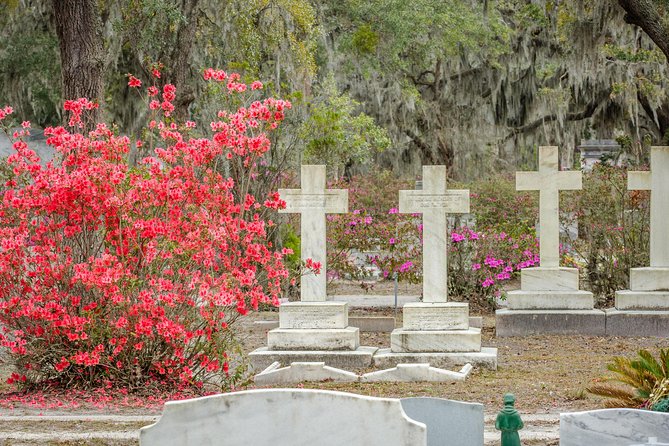 Bonaventure Cemetery & Wormsloe State Historic Site Tour - The guides make or break the experience
