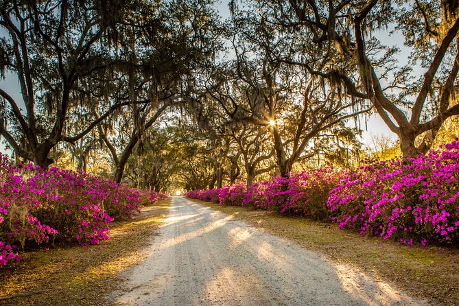 Bonaventure Cemetery & Wormsloe State Historic Site Tour - What the $59.06 price really buys you