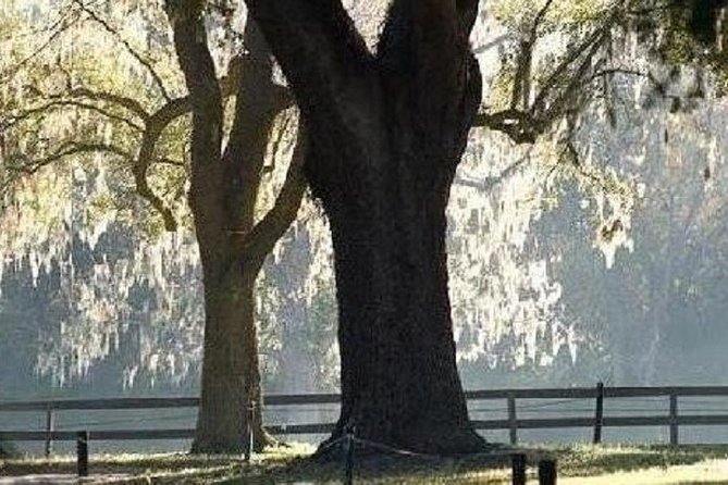 Boone Hall Plantation Admission & Tour with Transportation from Charleston - What the house tour gets right, and what it does not