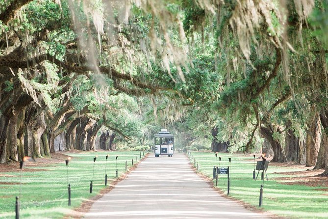 Boone Hall Plantation All-Access Admission Ticket - Arriving along the Avenue of Oaks