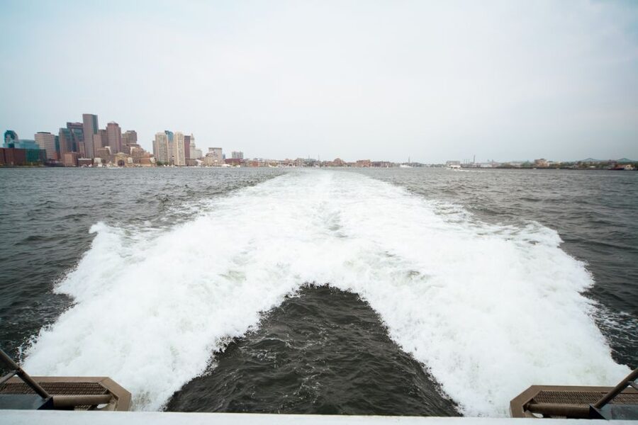 Boston: City Cruises Whale Watching Cruise - Key points before you book