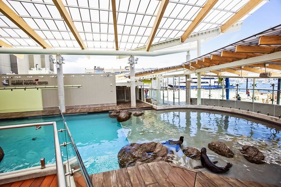 Boston: New England Aquarium Entry + Optional Simons Theatre - Key things to know before you go