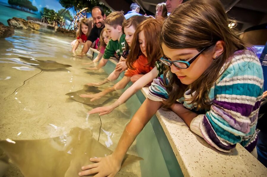 Boston: New England Aquarium Entry + Optional Simons Theatre - The entrance and the value of skip-the-line admission